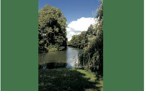 Heyden Linden Immobilien